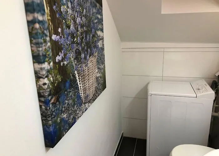 Viola Bruggen (Viersen)